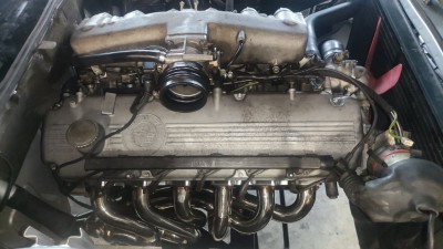 Schmiedmann Fächerkrümmer.jpeg