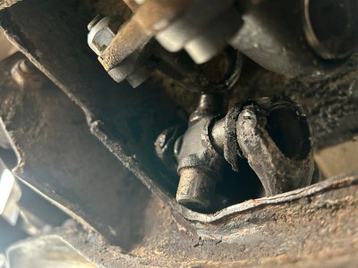 IMG_1227.jpg (92.33 KiB) 1758 mal betrachtet IMG_1227.jpg