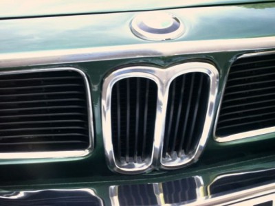 Niere.jpg (78.6 KiB) 7106 mal betrachtet Niere.jpg