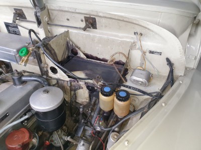 20210826_105501.jpg (171.49 KiB) 8524 mal betrachtet nach der ersten Reinigung