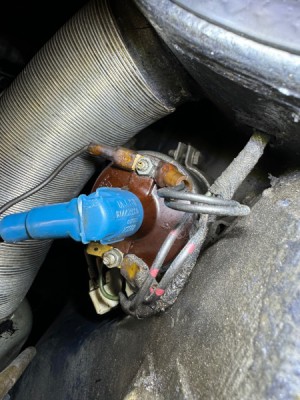 IMG_6773.jpg (135.17 KiB) 3884 mal betrachtet IMG_6773.jpg