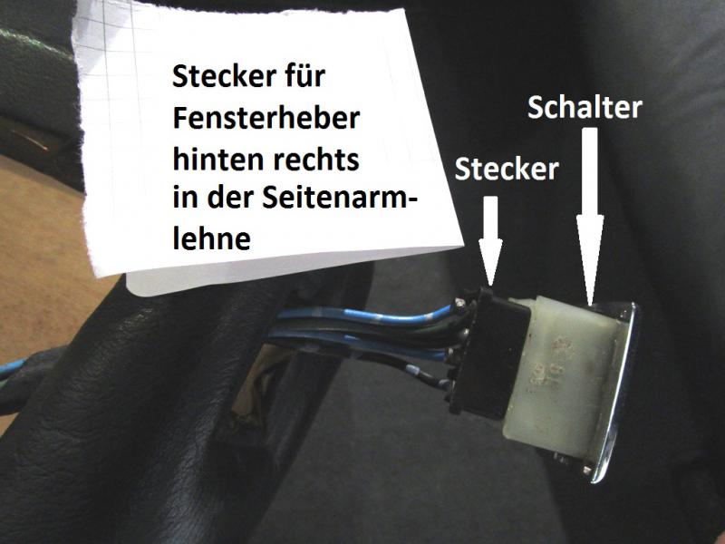 EFH-Stecker 1.JPG